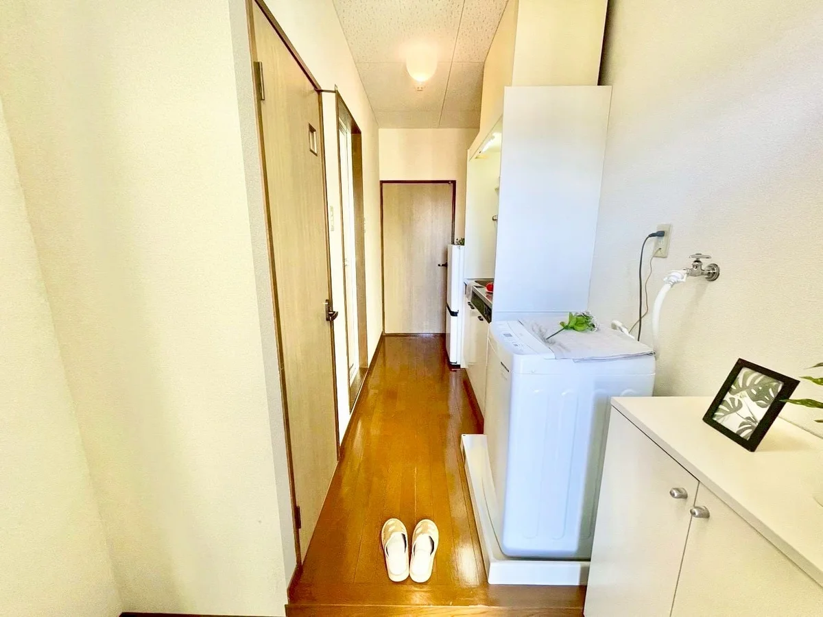 ※撮影用の観察植物・食器調理器具・雑貨類等はございません。※写真は現況優先