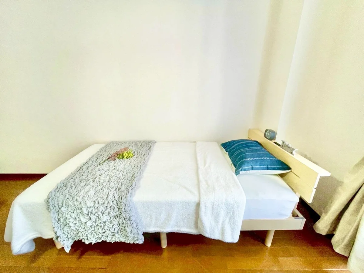 ※撮影用の観察植物・食器調理器具・雑貨類等はございません。※写真は現況優先