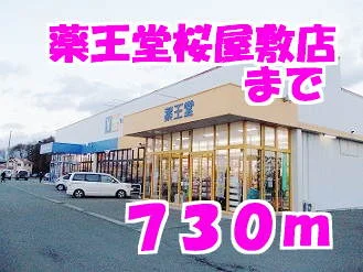 薬王堂まで730m