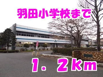 羽田小学校まで1200m