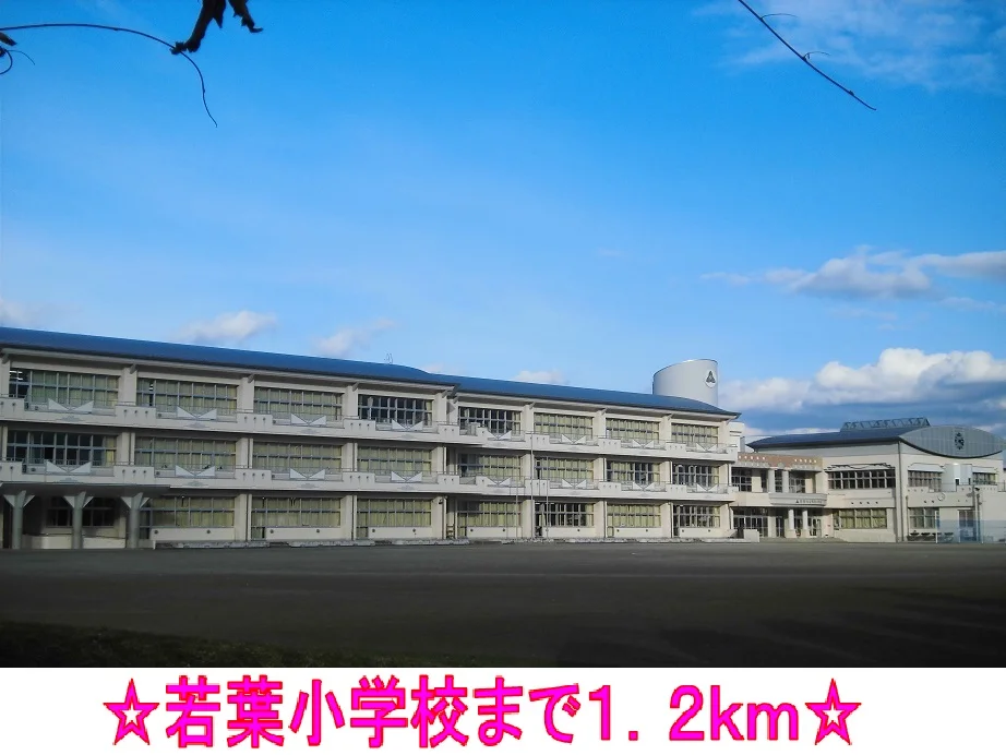 若葉小学校まで1200m