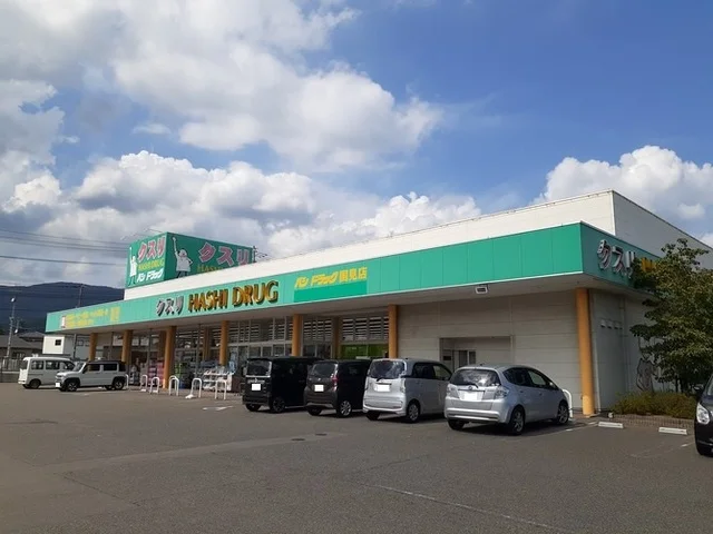 ハシドラッグ国見店まで1000m