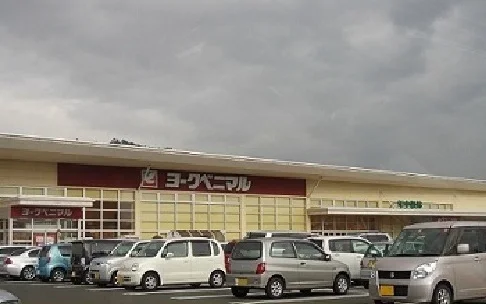 ヨークベニマル野田店まで1300m