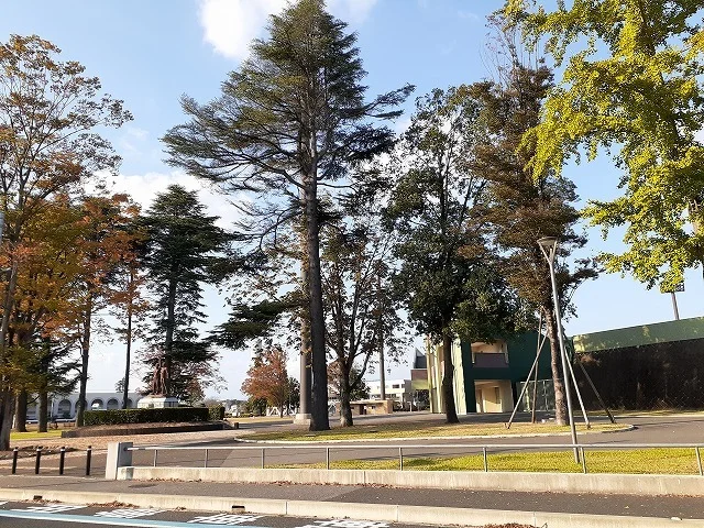 栃木県総合運動公園まで1400m