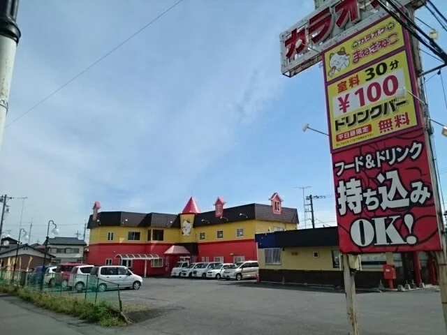 カラオケまねきねこ栃木店まで230m