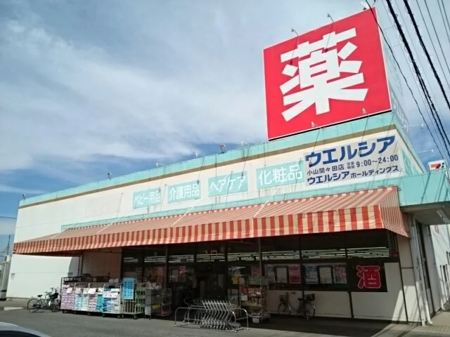 ウエルシア小山間々田店まで850m