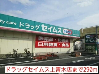 ドラッグセイムス上青木店まで290m