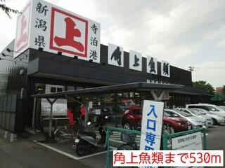 角上魚類まで530m