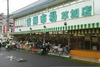 新鮮市場草加店まで800m