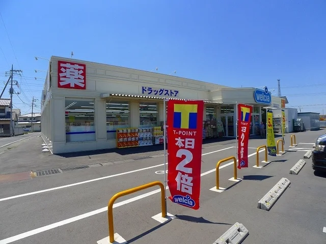 ウエルシア太田鳥山店まで600m