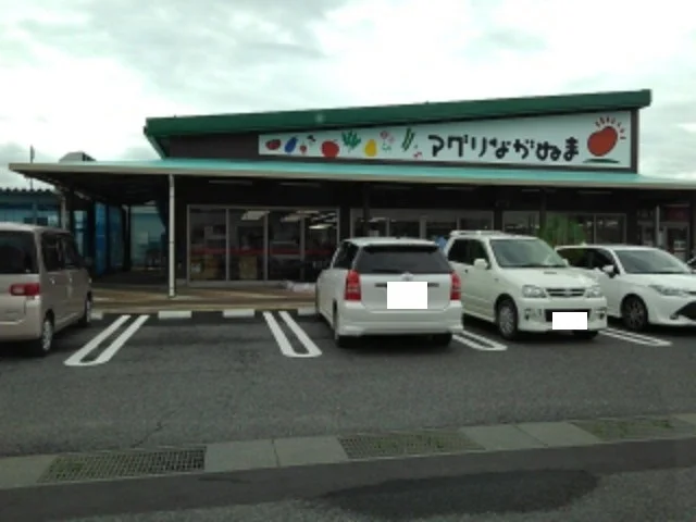 アグリながぬままで1600m