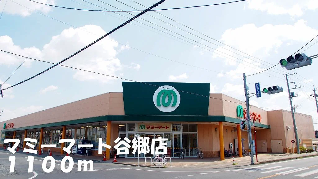 マミーマート谷郷店まで1100m