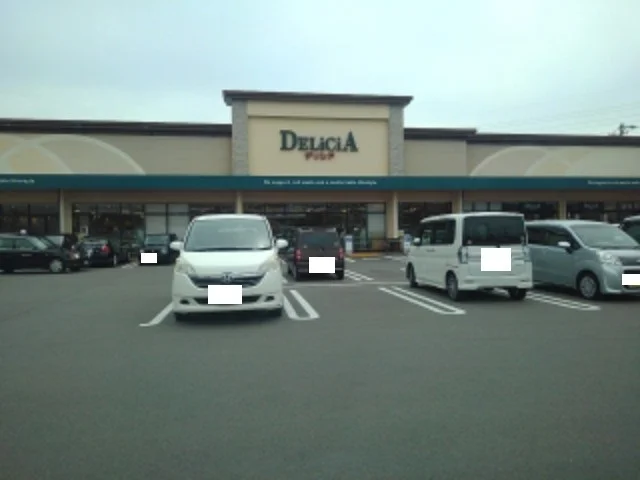 デリシア吉田店まで1000m
