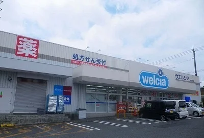 ウエルシア沼津西沢田店まで300m