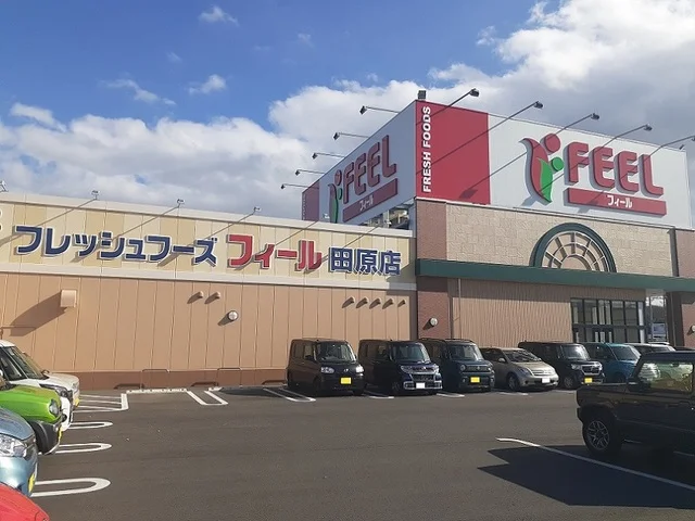フィールまで500m