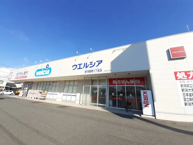 ウエルシア新潟関新１丁目店まで382m