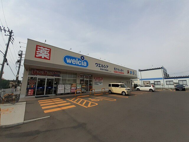 ウエルシア新潟弁天橋通店まで600m