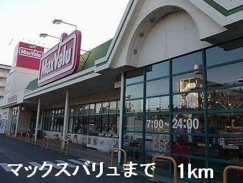 マックスバリュまで1000m