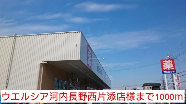 ウエルシア河内長野西片添店様まで1000m