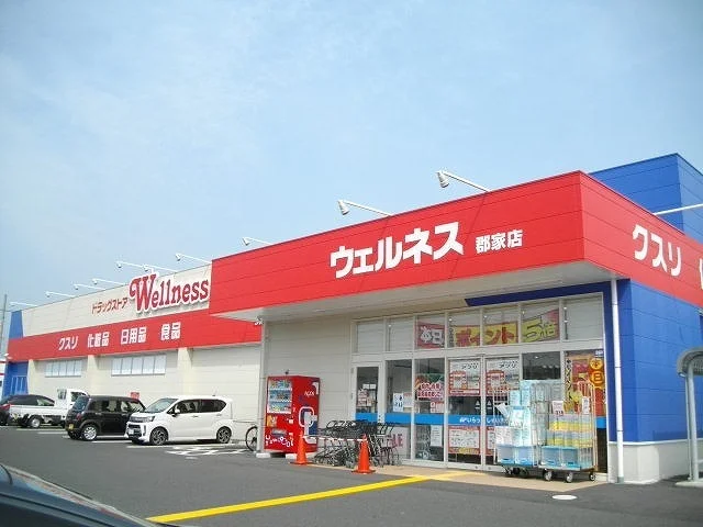 ウェルネス郡家店まで800m