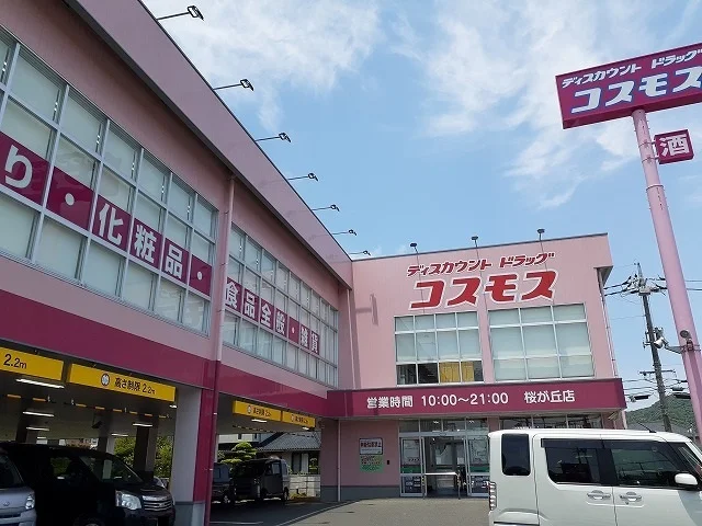 コスモスさんまで4100m