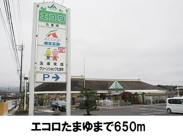 エコロたまゆまで650m