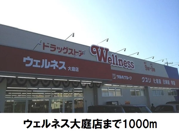 ウェルネス　大庭店まで1000m