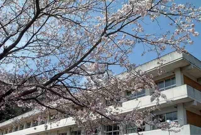 東野小学校まで400m