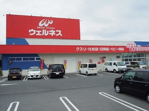 ウェルネス安来店まで1200m