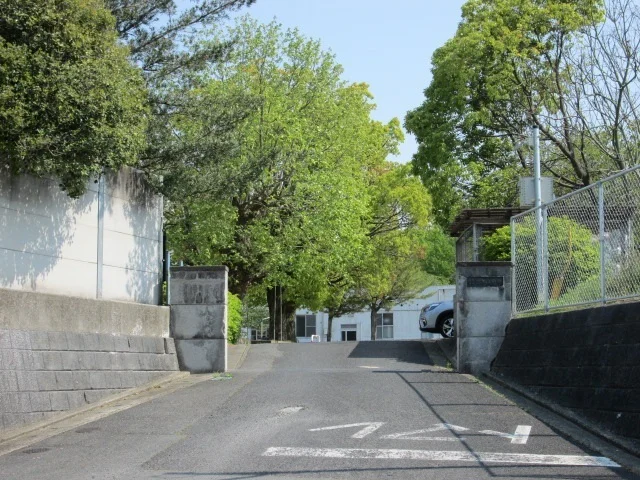 植木小学校まで1000m