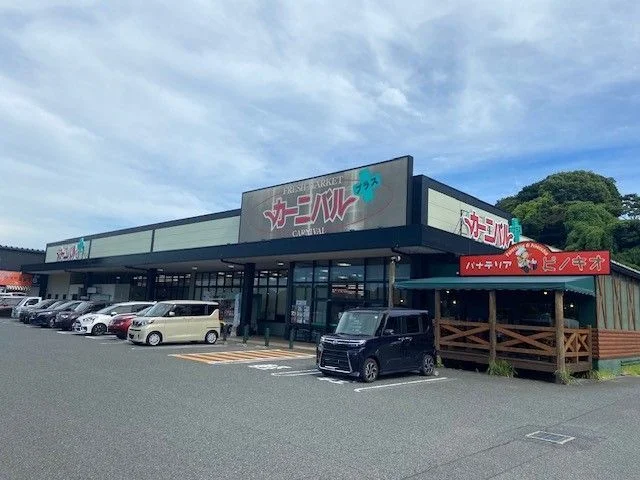 カーニバルプラスまで1100m