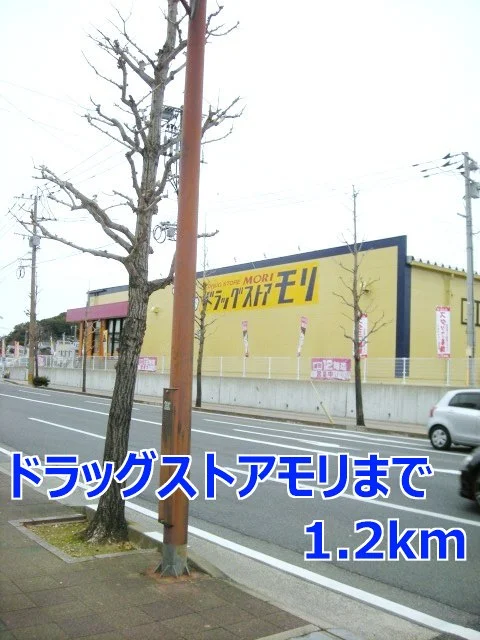 ドラッグストアモリまで1200m