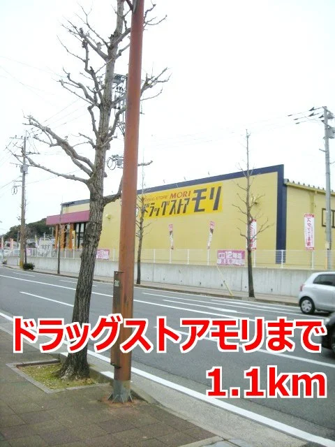 ドラッグストアモリまで1100m