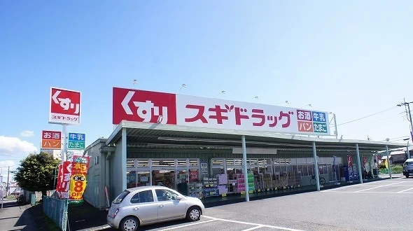 スギドラッグ 飯能店まで1100m