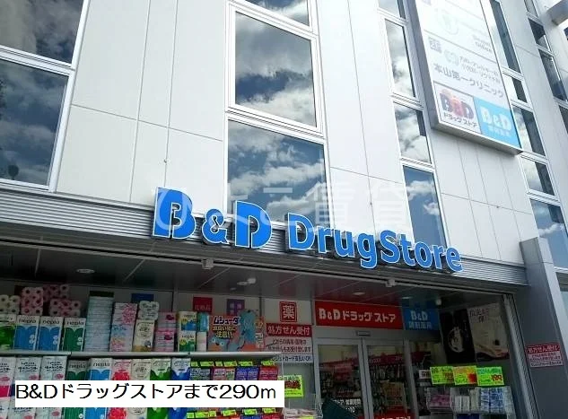 B&Dドラッグまで290m