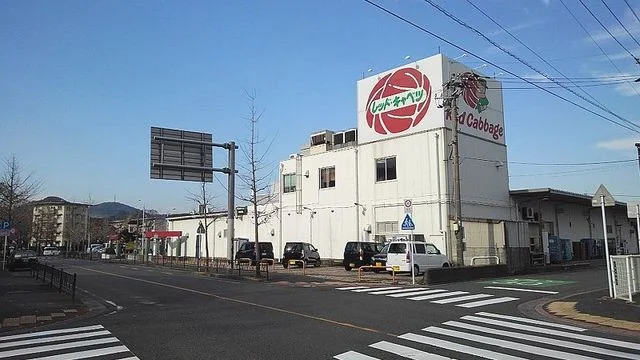 レッドキャベツ徳力店まで1400m