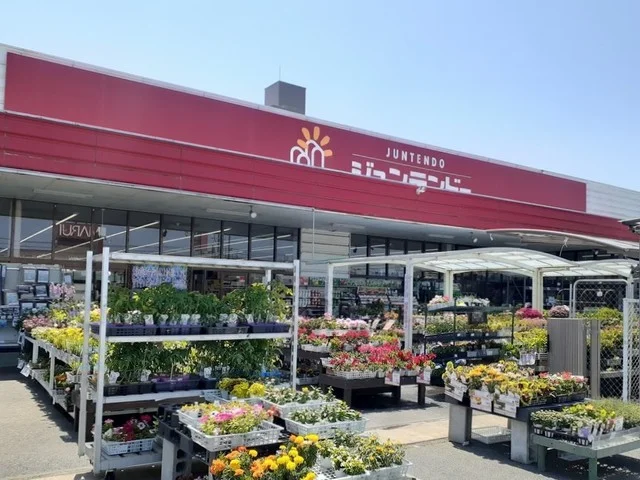 ジュンテンドー安倍店まで800m