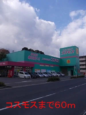 コスモスまで60m