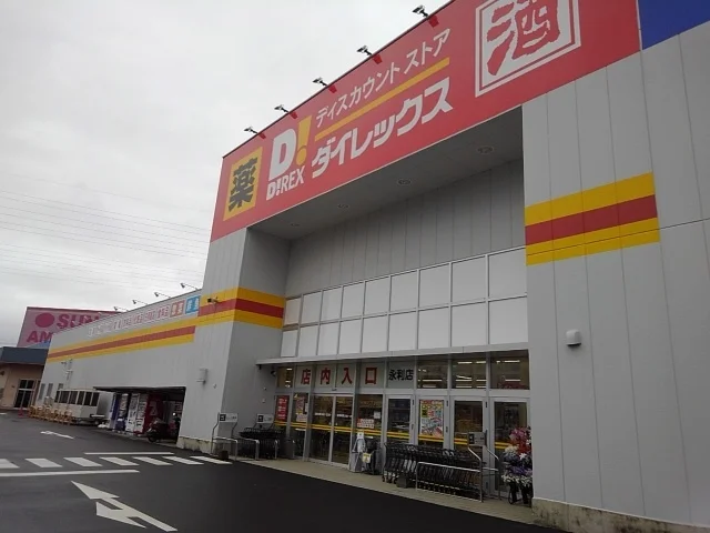 ダイレックス永利店まで600m