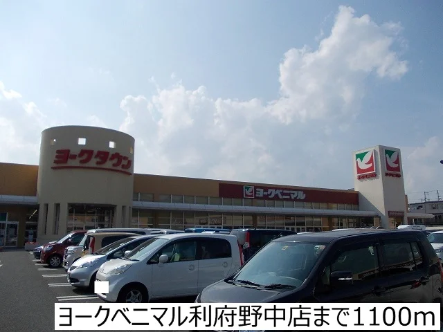 ヨークベニマル利府野中店まで1100m
