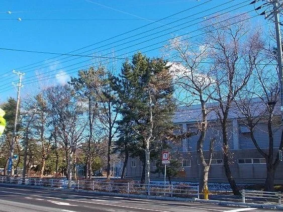 函館市立駒場小学校まで350m