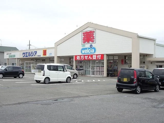 ウエルシア静岡高松店まで1000m