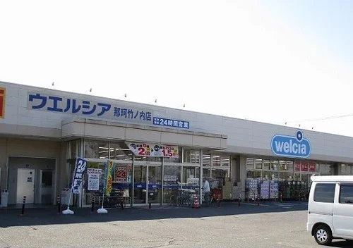 ウエルシア那珂竹ノ内店まで750m