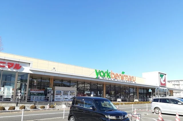 ヨークベニマル東大島店まで610m