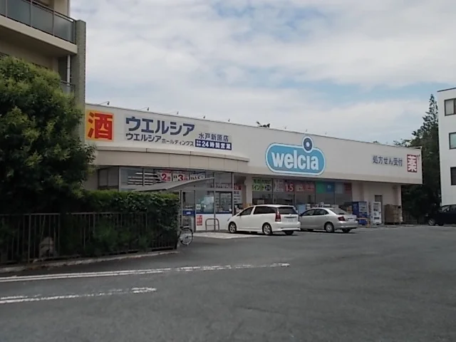 ウエルシア水戸新原店まで700m
