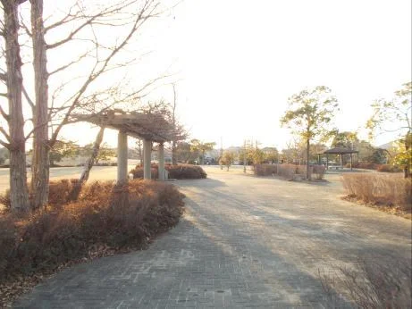 樫の木公園まで350m