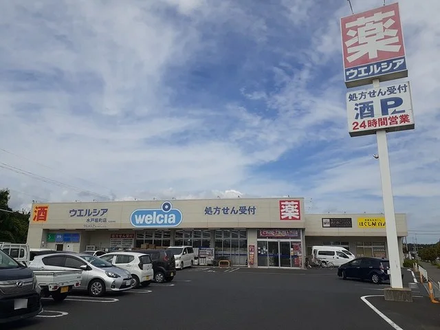 ウエルシア　堀町店まで600m
