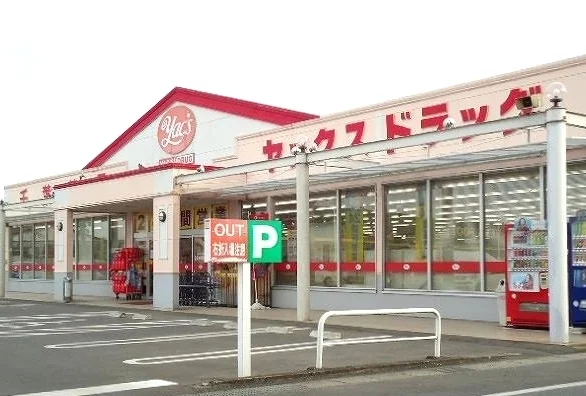 ヤックスドラッグ 横田店まで300m