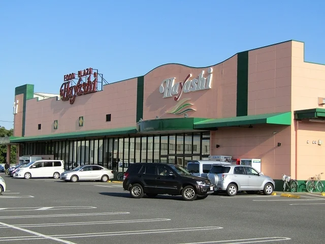 ハヤシ六ツ野店まで1100m