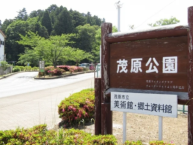 茂原公園まで2300m